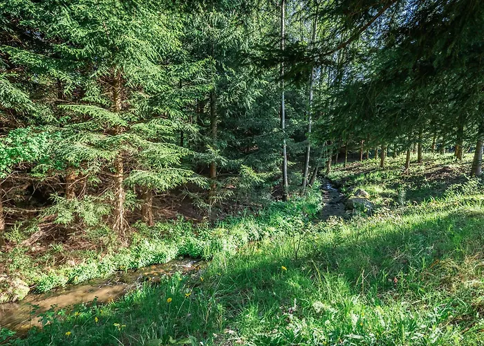 Holiday home Muehlenhof